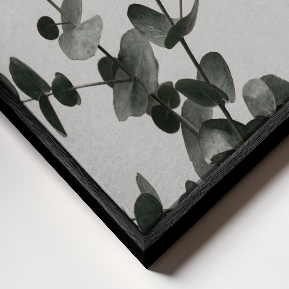 Canvas print - Eucalyptus Natural 04 frame close up - black frame