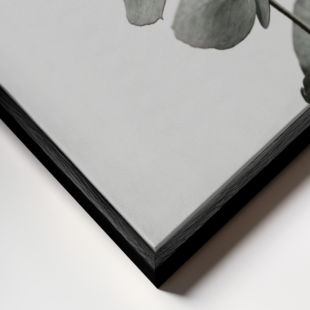 Toile - Eucalyptus Natural 06 cadre en gros plan - cadre noir