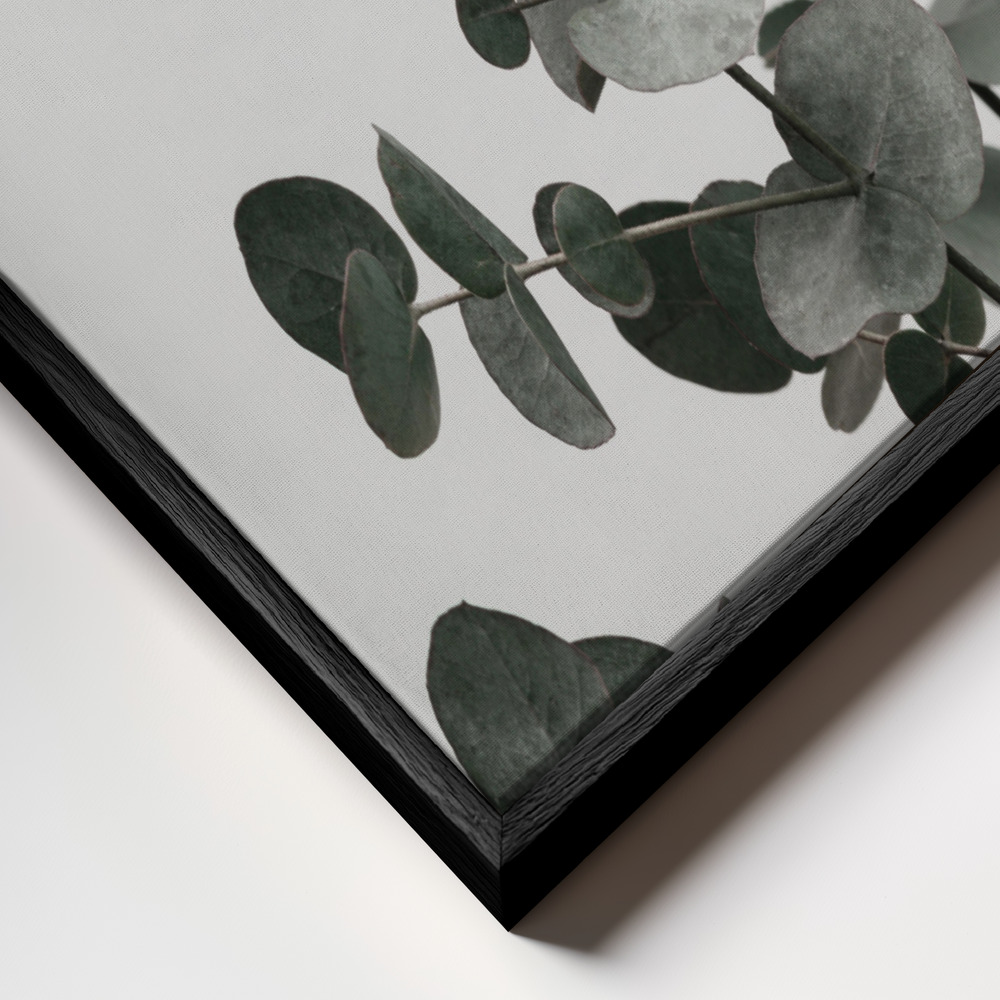 Toile - Eucalyptus Natural 07 cadre en gros plan - cadre noir
