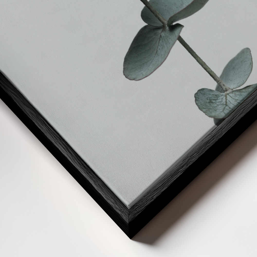 Canvas schilderi - Eucalyptus Natural 09 frame close-up - zwart frame