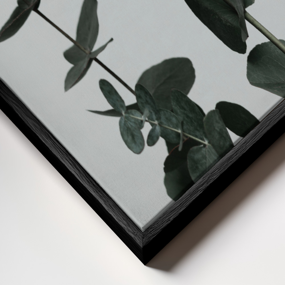 Canvas print - Eucalyptus Natural 11 frame close up - black frame