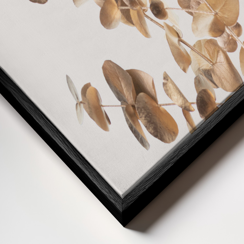 Obraz na płótnie - Eucalyptus Gold No 04 zbliżenie ramki - czarna ramka