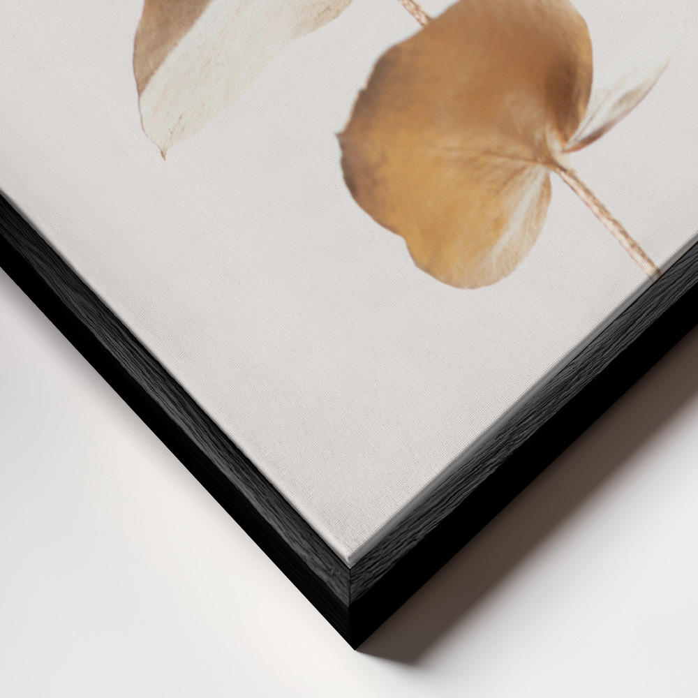 Obraz na płótnie - Eucalyptus Gold No 06 zbliżenie ramki - czarna ramka