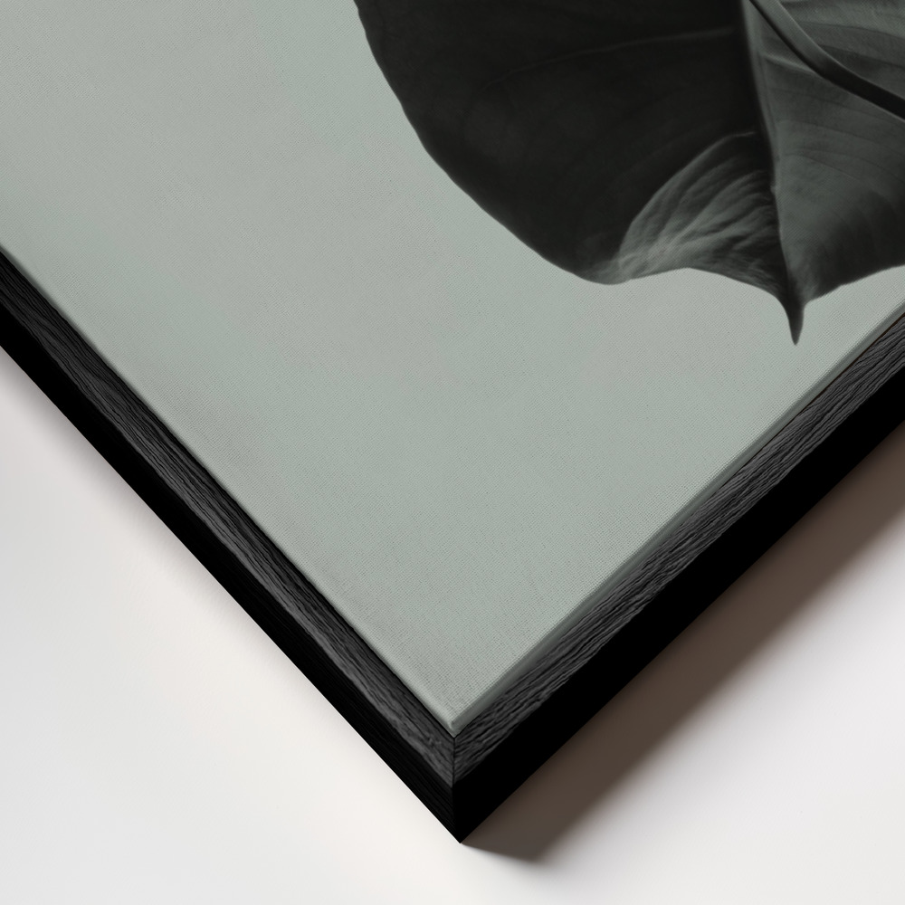Canvas schilderi - Monstera Teal 01 frame close-up - zwart frame