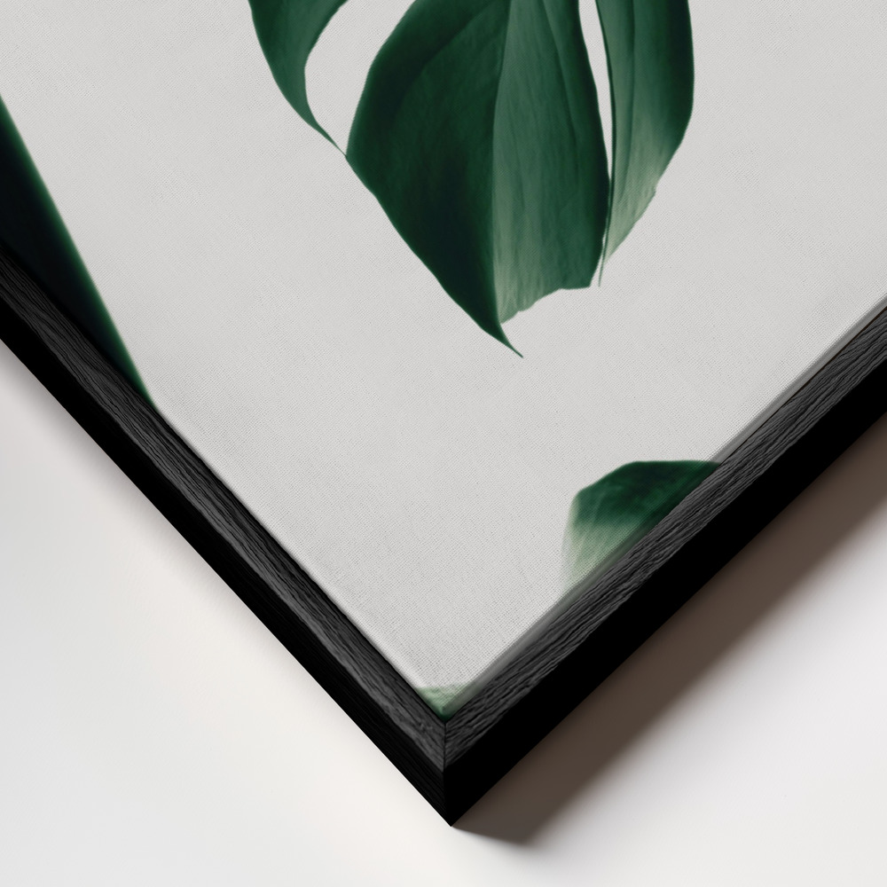 Obraz na płótnie - Monstera Natural 13 zbliżenie ramki - czarna ramka