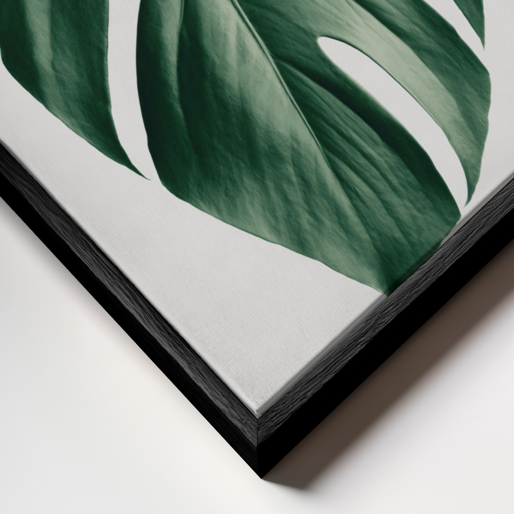 Canvas print - Monstera Natural 23 frame close up - black frame