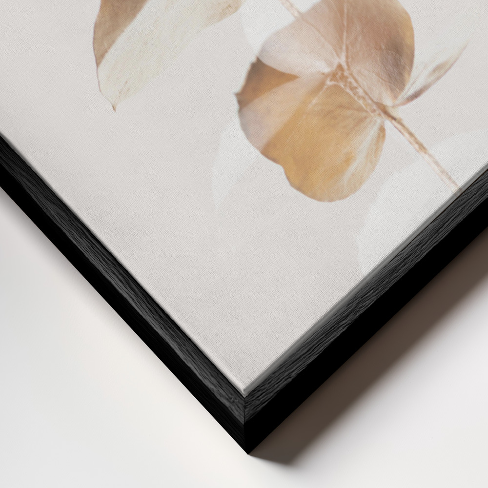 Obraz na płótnie - Eucalyptus Creative Gold 04 zbliżenie ramki - czarna ramka
