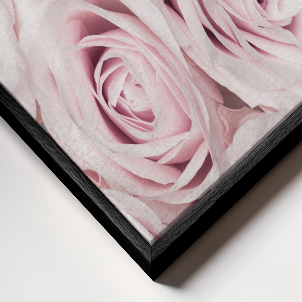 Obraz na płótnie - Pink Roses No 03 zbliżenie ramki - czarna ramka