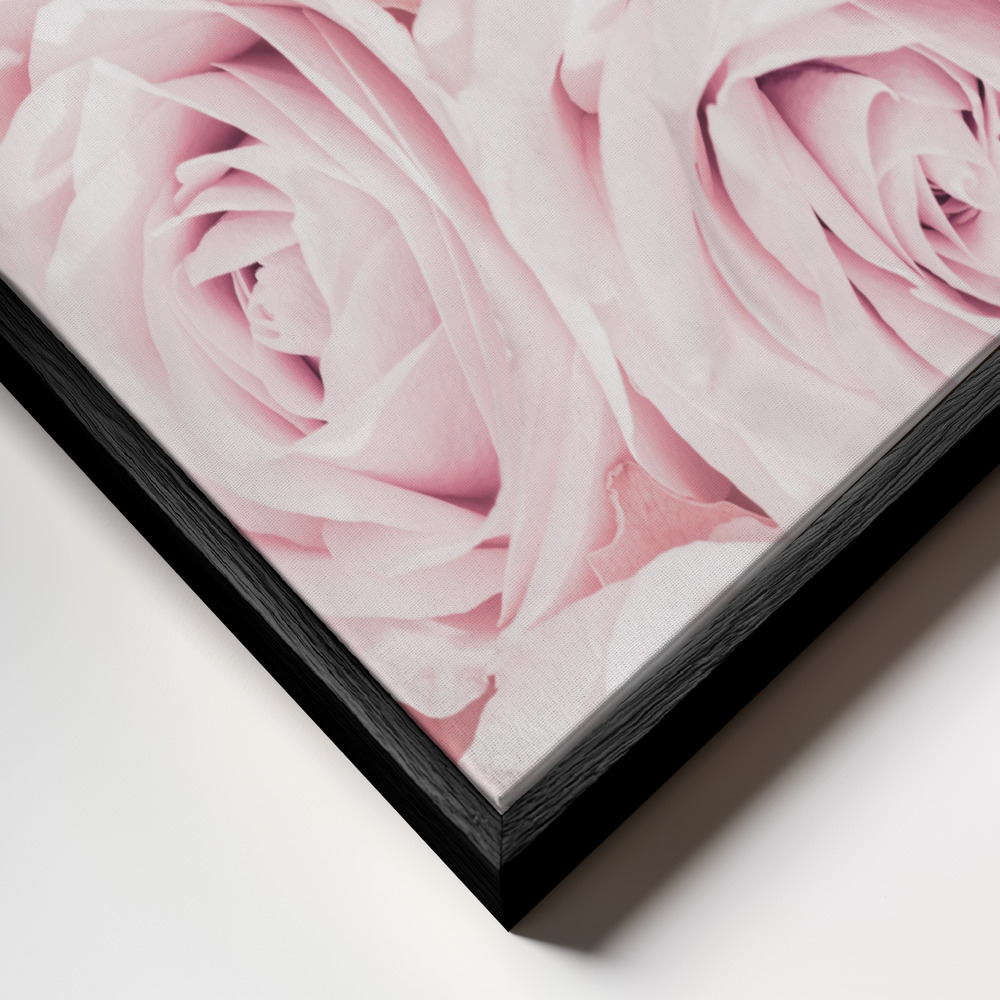 Obraz na płótnie - Pink Roses No 02 zbliżenie ramki - czarna ramka