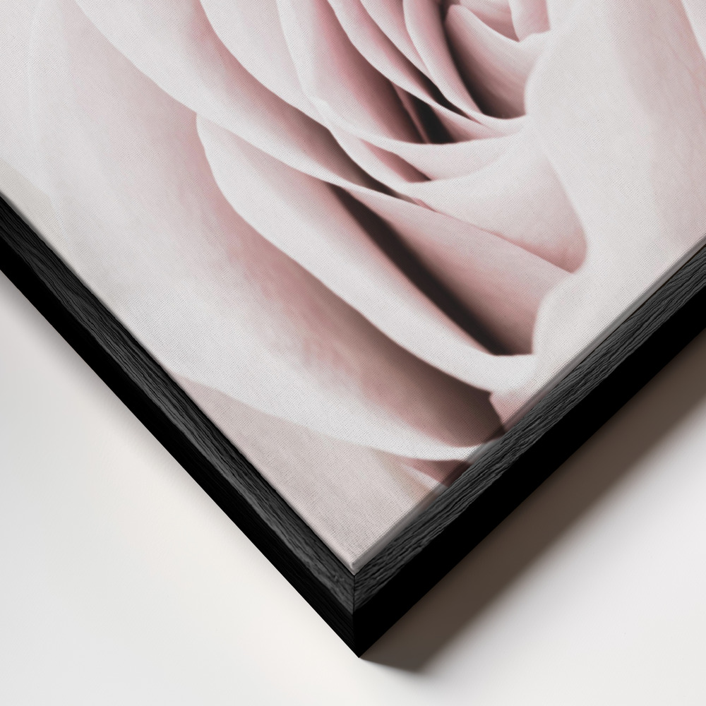 Obraz na płótnie - Pink Rose No 05 zbliżenie ramki - czarna ramka