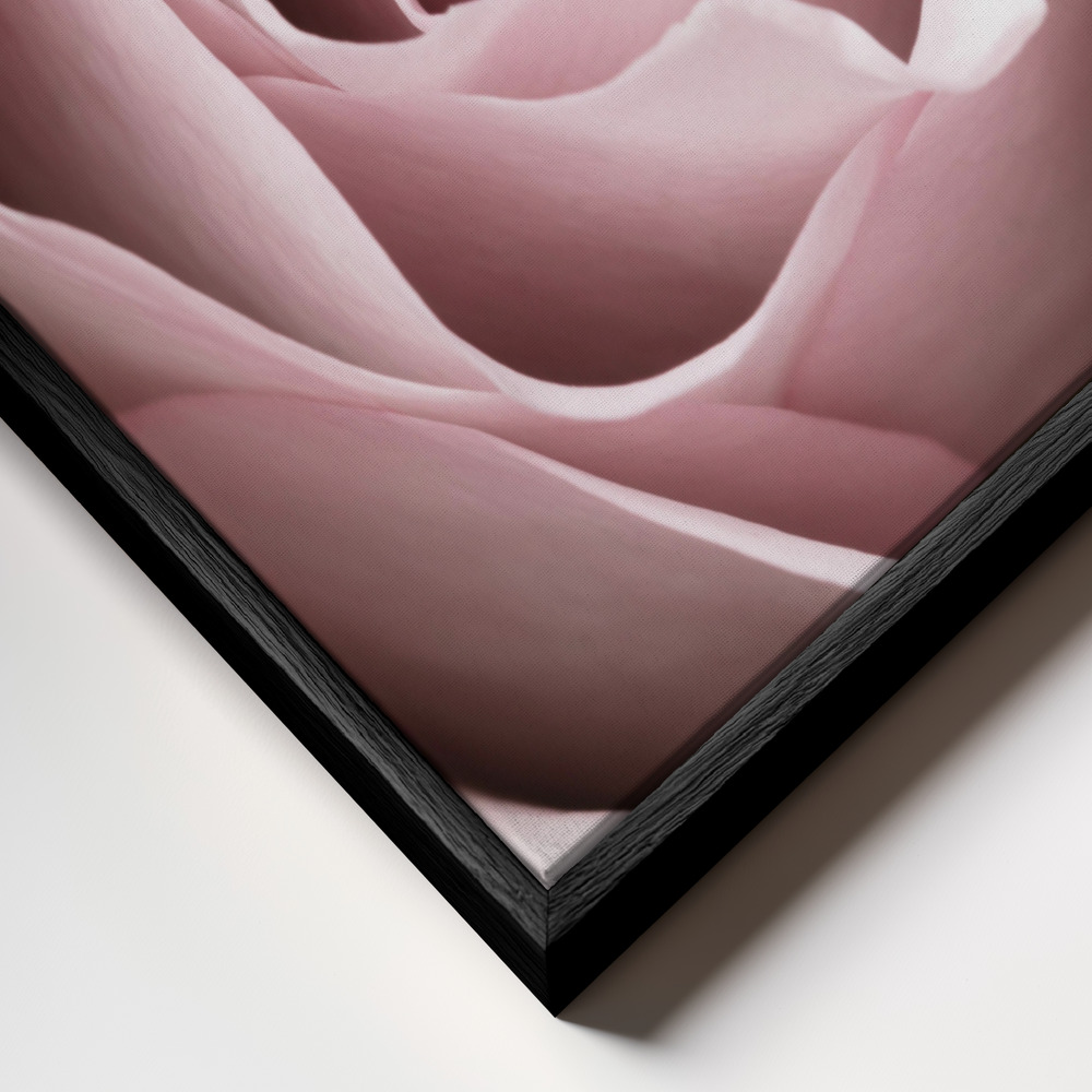 Canvas print - Pink Rose No 04 frame close up - black frame