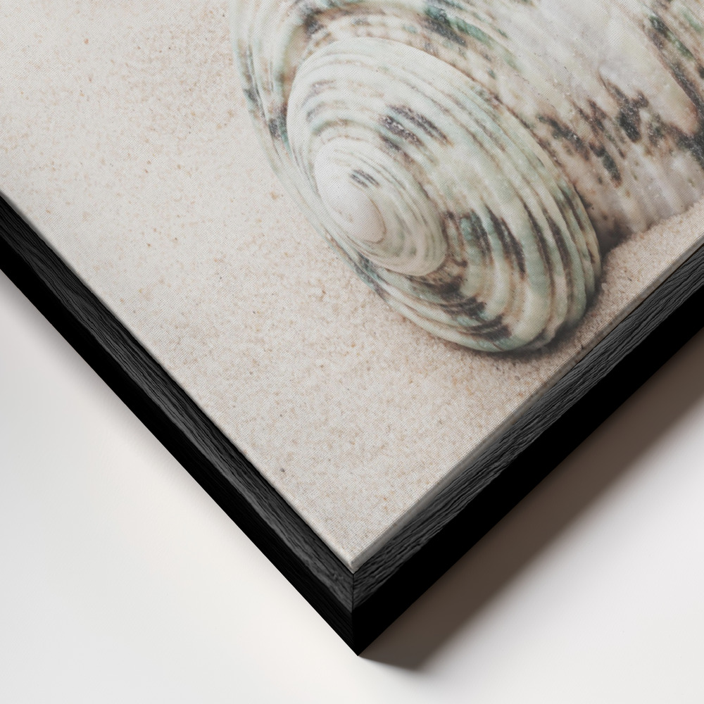 Canvas schilderi - Shells frame close-up - zwart frame