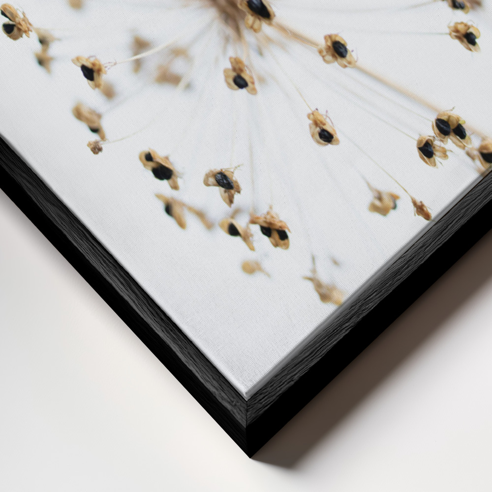 Canvas print - Dried Flower 2 frame close up - black frame