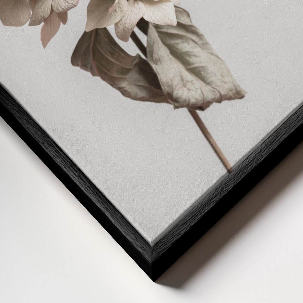Toile - Beige dried flower cadre en gros plan - cadre noir