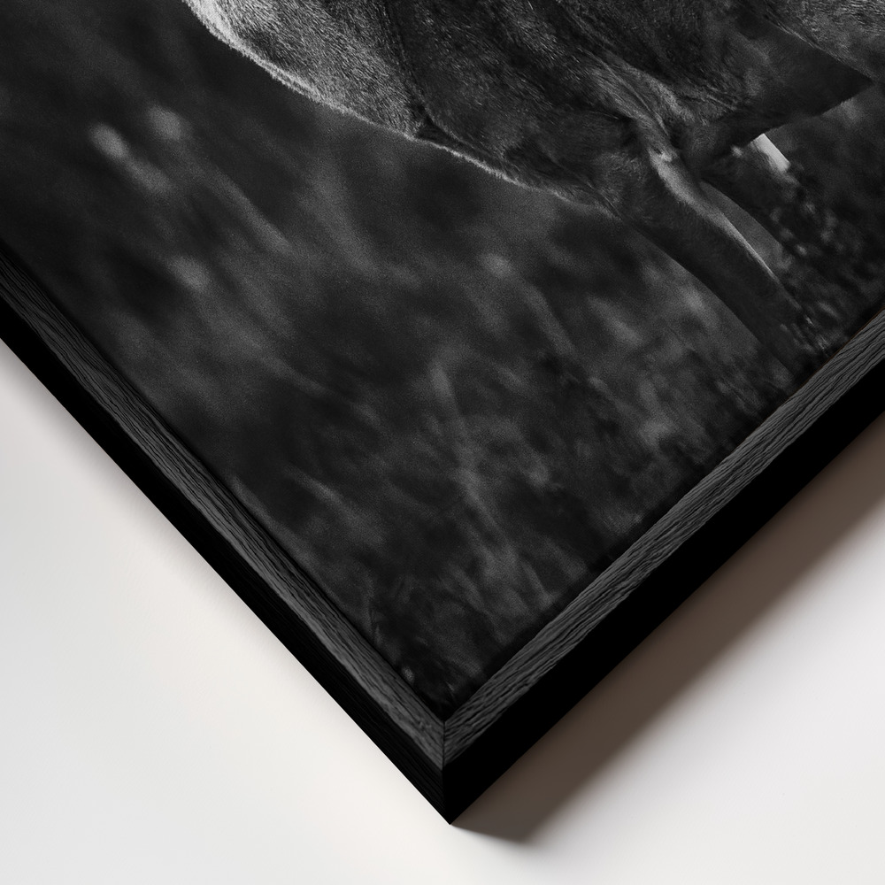 Canvas print - Ready for the love season frame close up - black frame