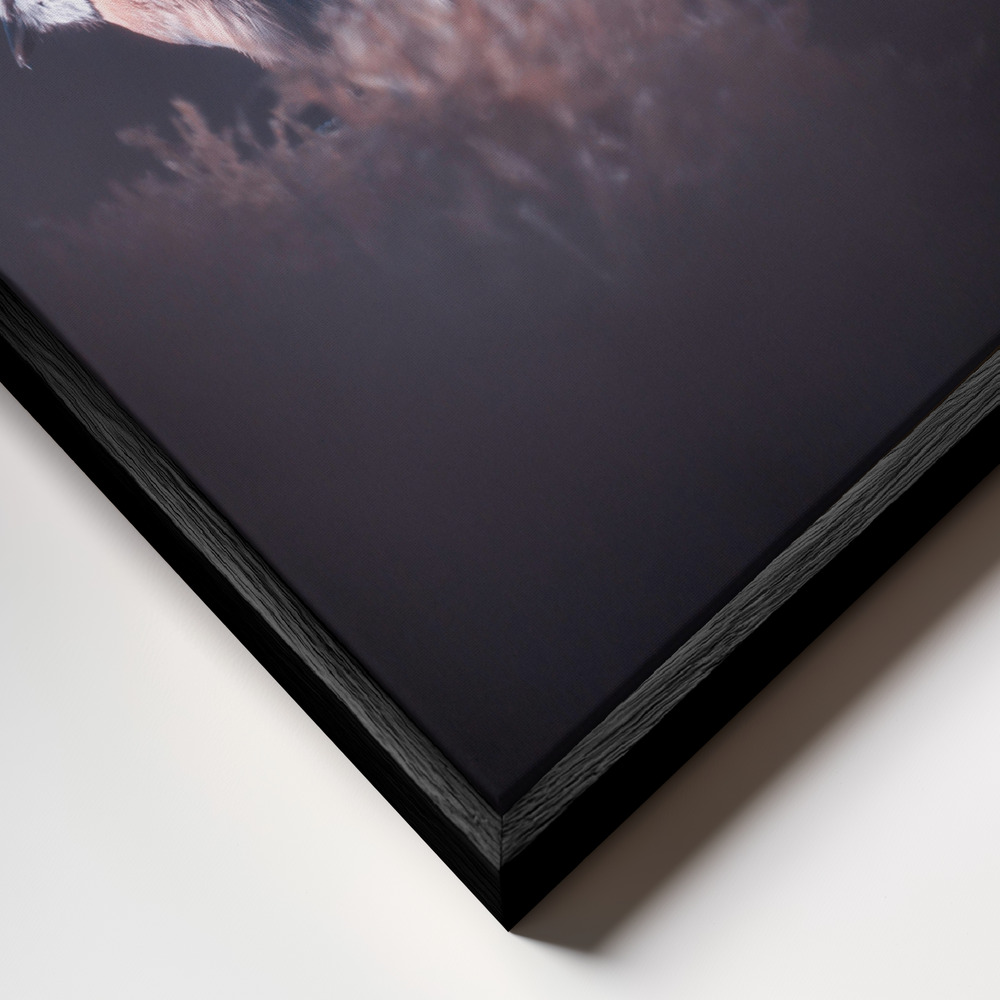 Canvas schilderi - A bird world VIII frame close-up - zwart frame