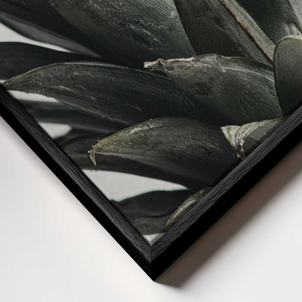 Toile - Pineapple close up cadre en gros plan - cadre noir