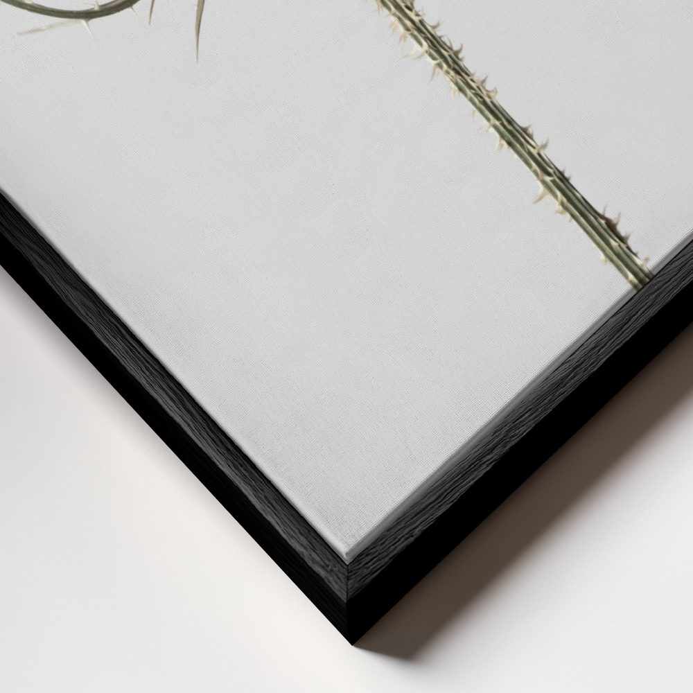 Canvas print - Dried Flower 4 frame close up - black frame