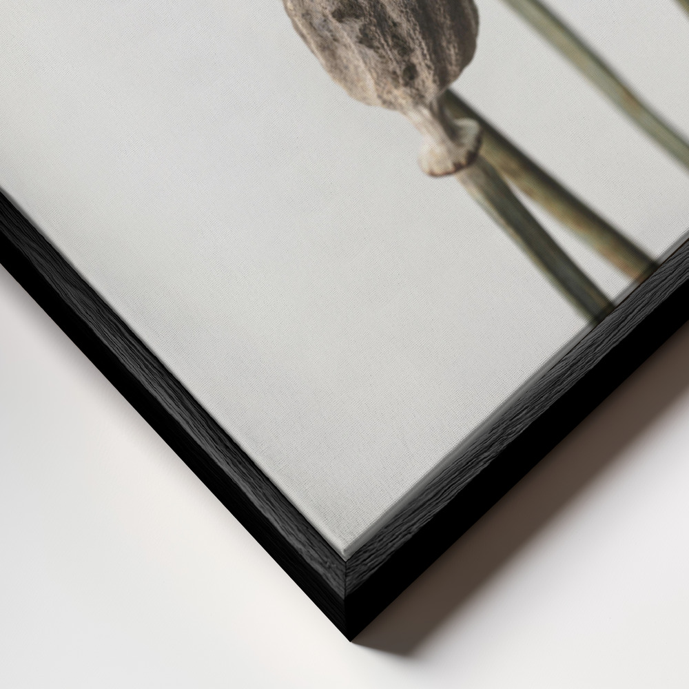 Canvas print - Dried Flower 6 frame close up - black frame