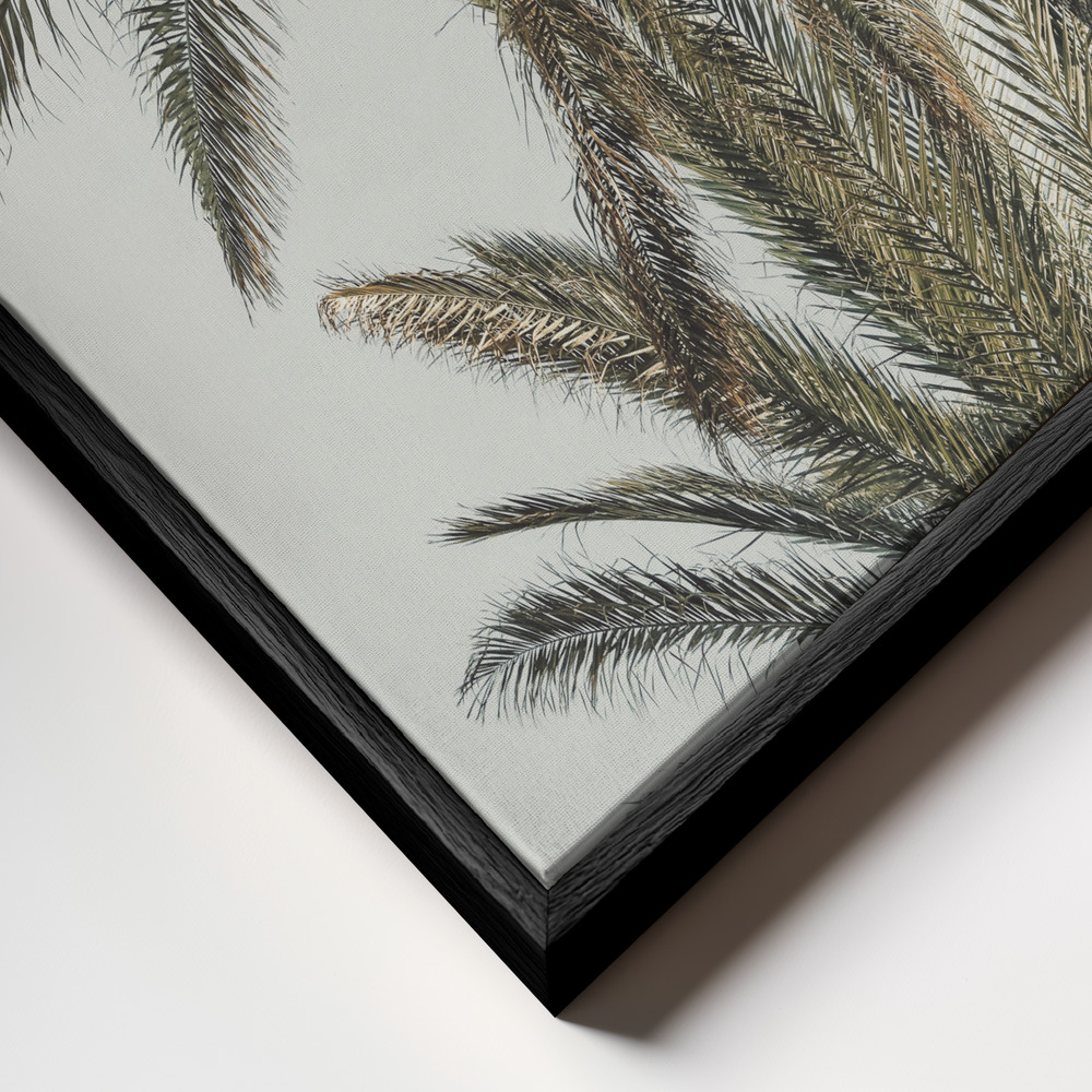 Canvas schilderi - Palm 05 frame close-up - zwart frame