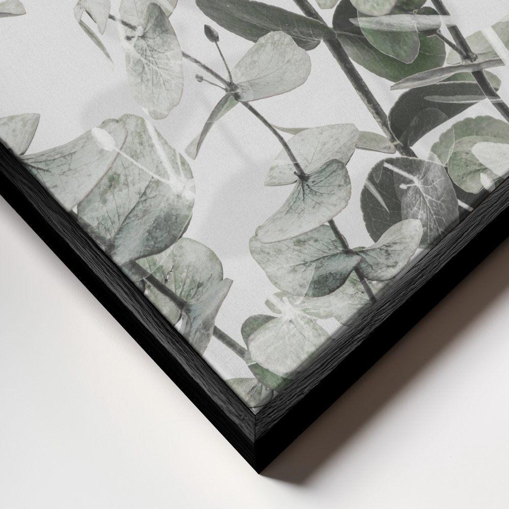 Canvas print - Eucalyptus 1 frame close up - black frame
