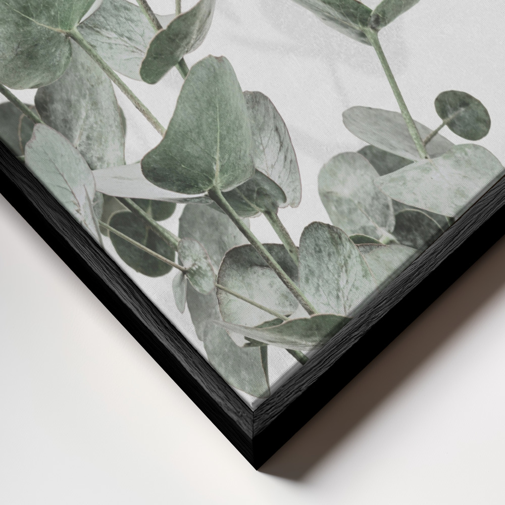 Toile - Eucalyptus 3 cadre en gros plan - cadre noir