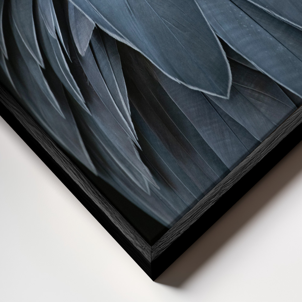 Canvas print - Feather frame close up - black frame
