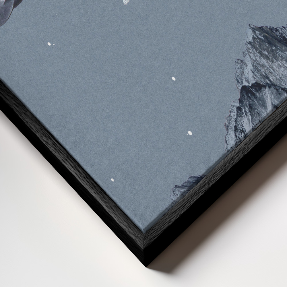 Toile - Aim for the moon cadre en gros plan - cadre noir