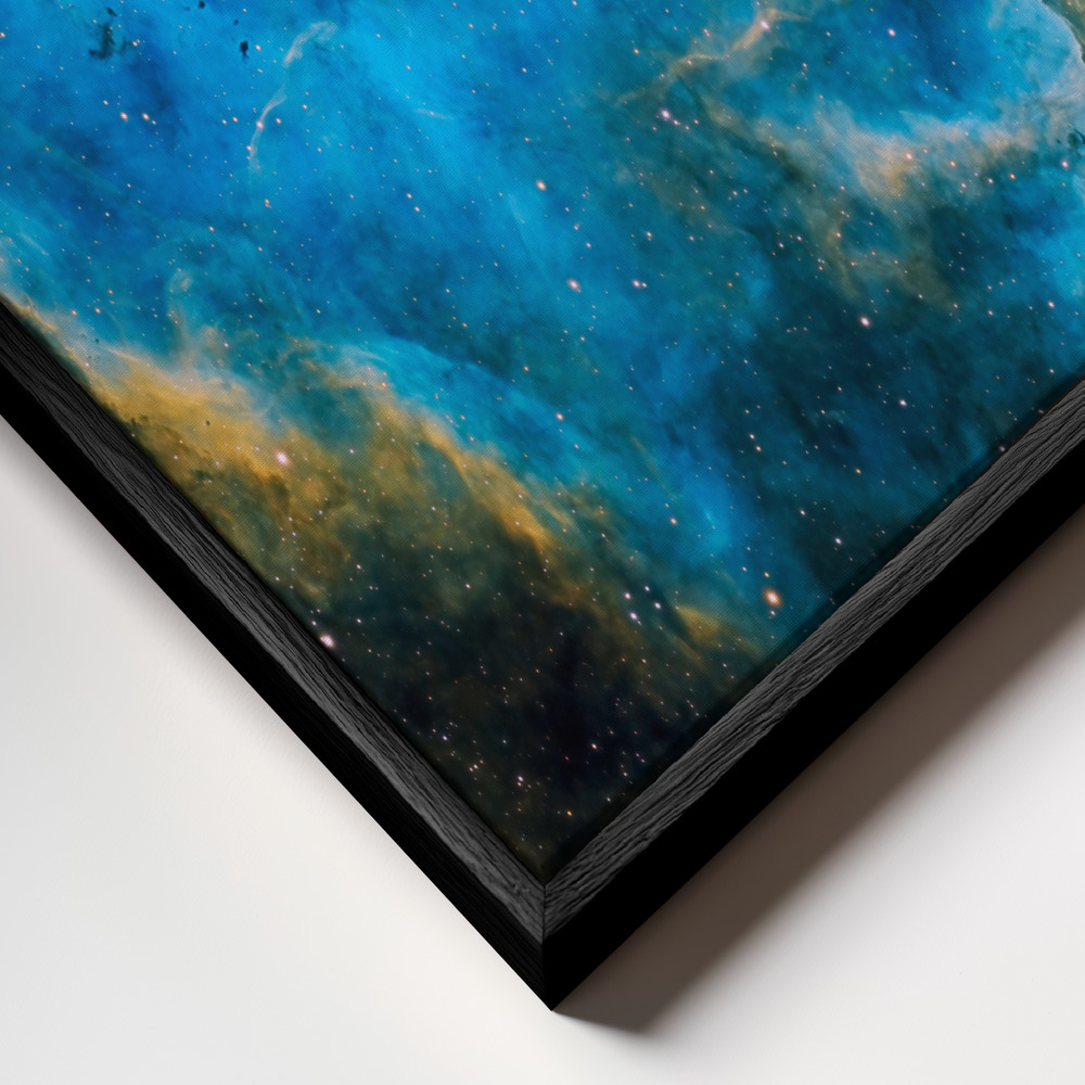 Canvas taulu - Rosette kehys lähikuvassa - musta kehys