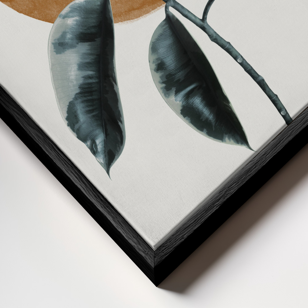 Canvas schilderi - Sun and Ficus frame close-up - zwart frame