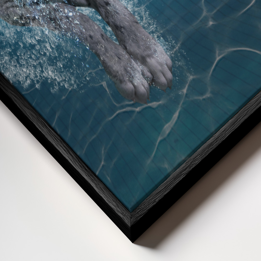 Canvas schilderi - SplashDog frame close-up - zwart frame