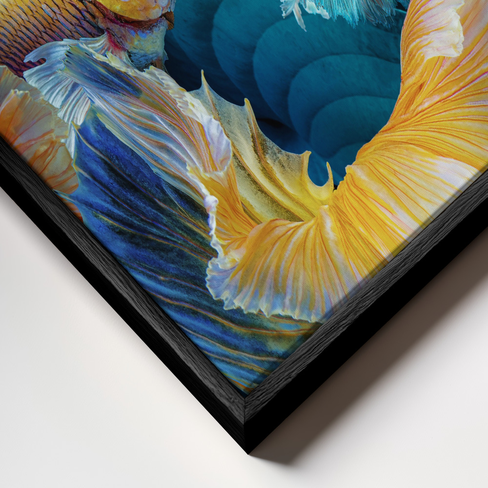 Toile - ColorFish cadre en gros plan - cadre noir