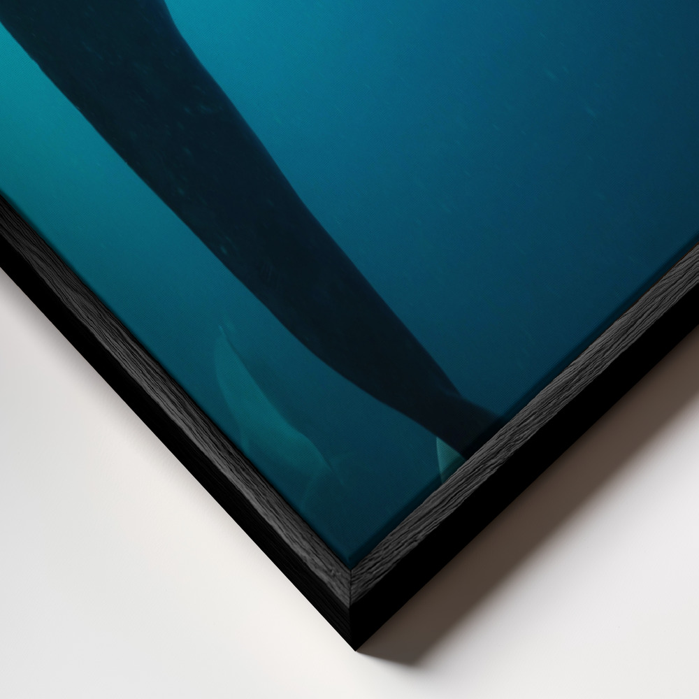 Canvas print - Shapes of water frame close up - black frame