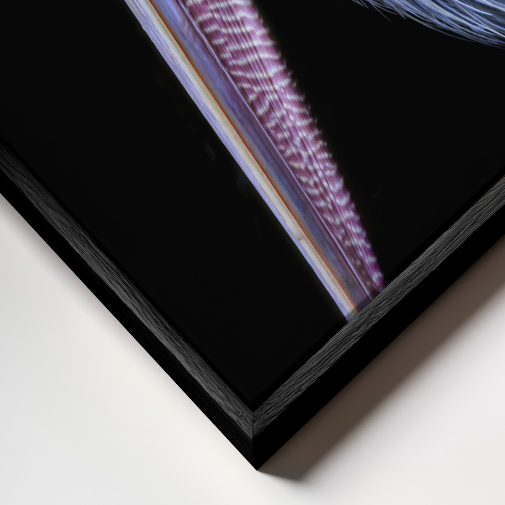 Canvas taulu - Profile of Patience kehys lähikuvassa - musta kehys