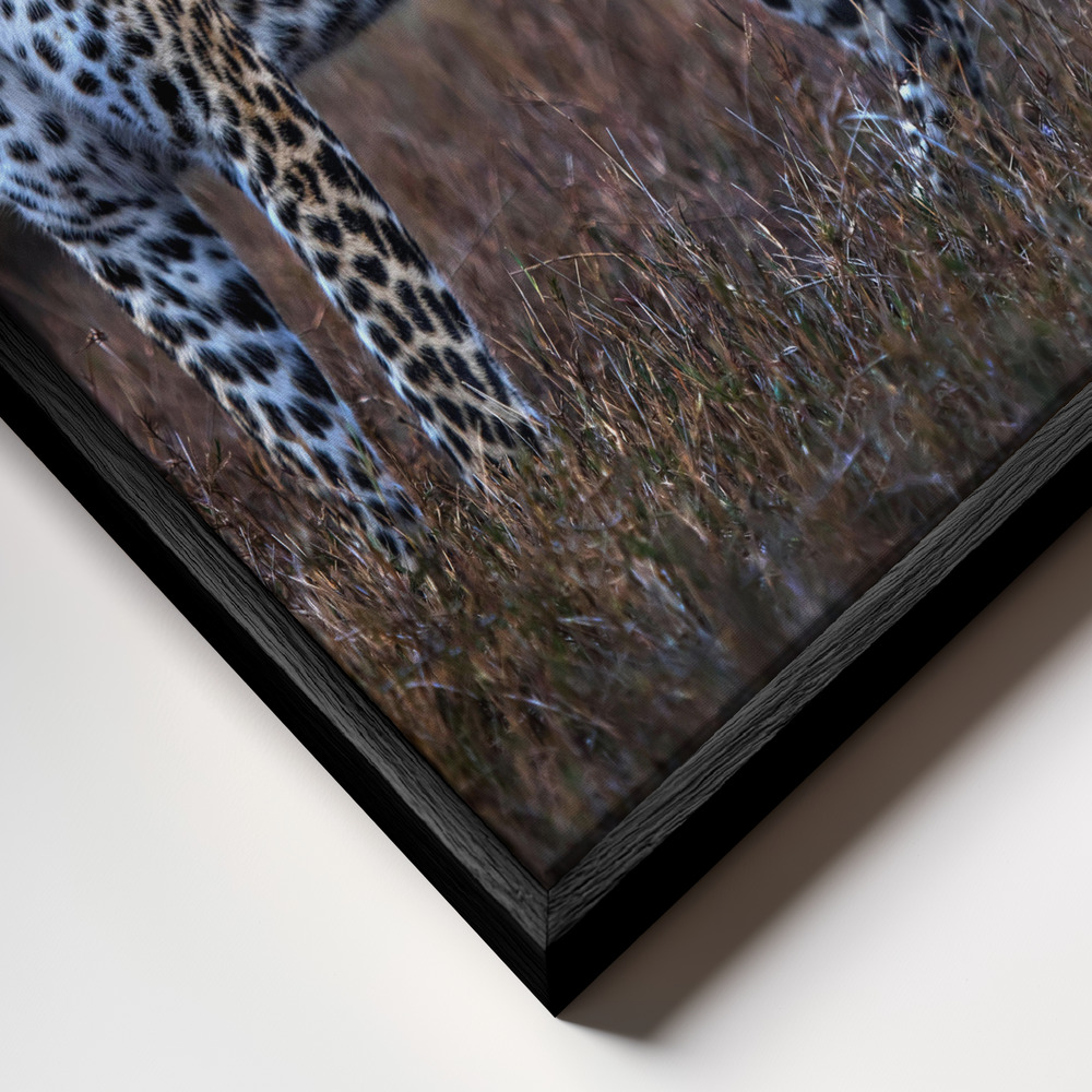 Toile - Leopard on the prowl cadre en gros plan - cadre noir