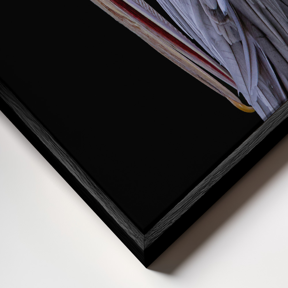 Canvas print - Pensive Pelican frame close up - black frame