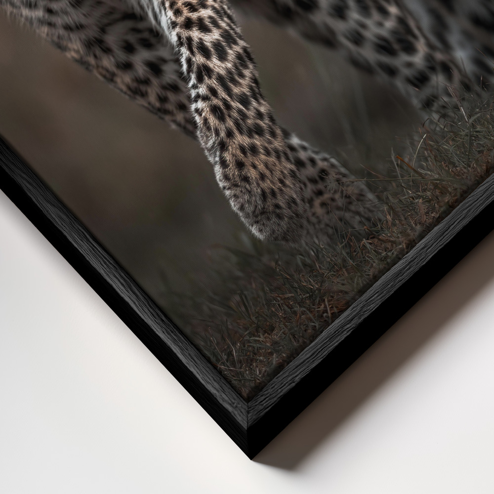 Leinwandbild - Surprise rahmen Nahaufnahme - schwarzer Rahmen