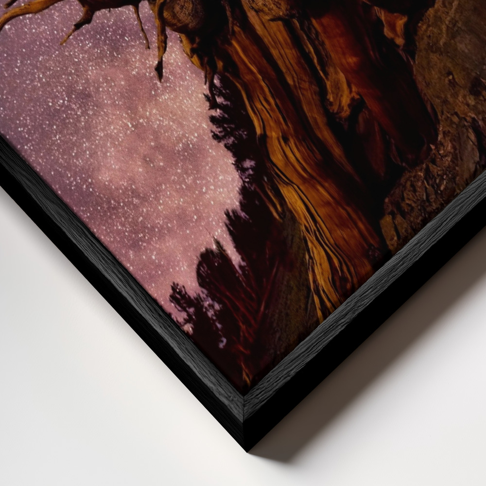 Toile - Mountain Sentinel cadre en gros plan - cadre noir