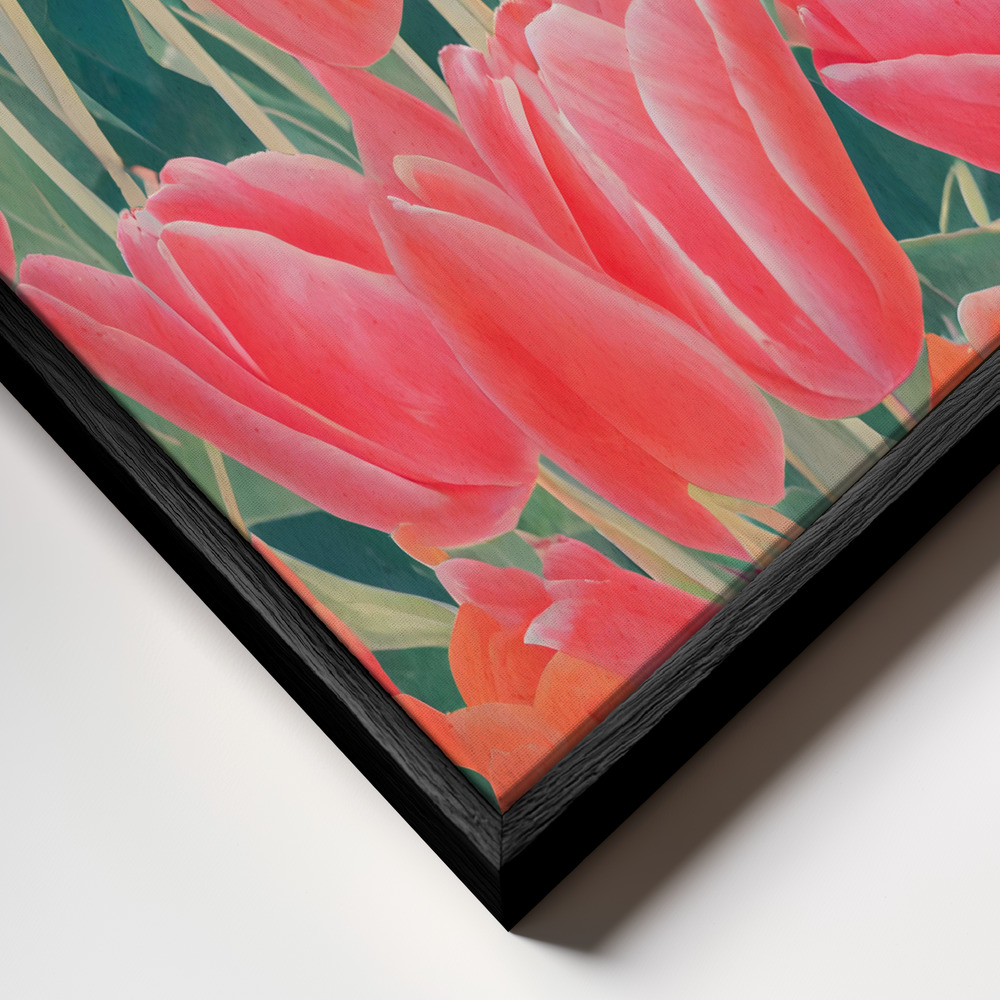 Canvas print - Pink Tulips frame close up - black frame