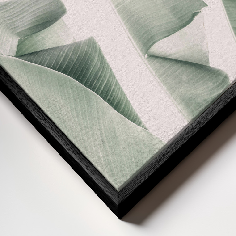 Canvas schilderi - Blush Banana Leaves frame close-up - zwart frame