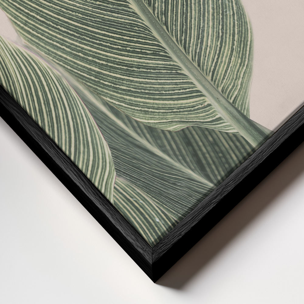 Canvas schilderi - Calla Leaf frame close-up - zwart frame