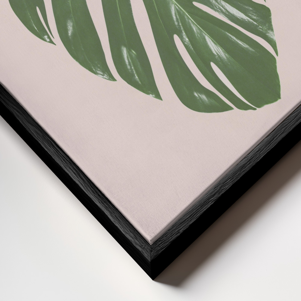 Obraz na płótnie - Monstera Leaf Blush zbliżenie ramki - czarna ramka