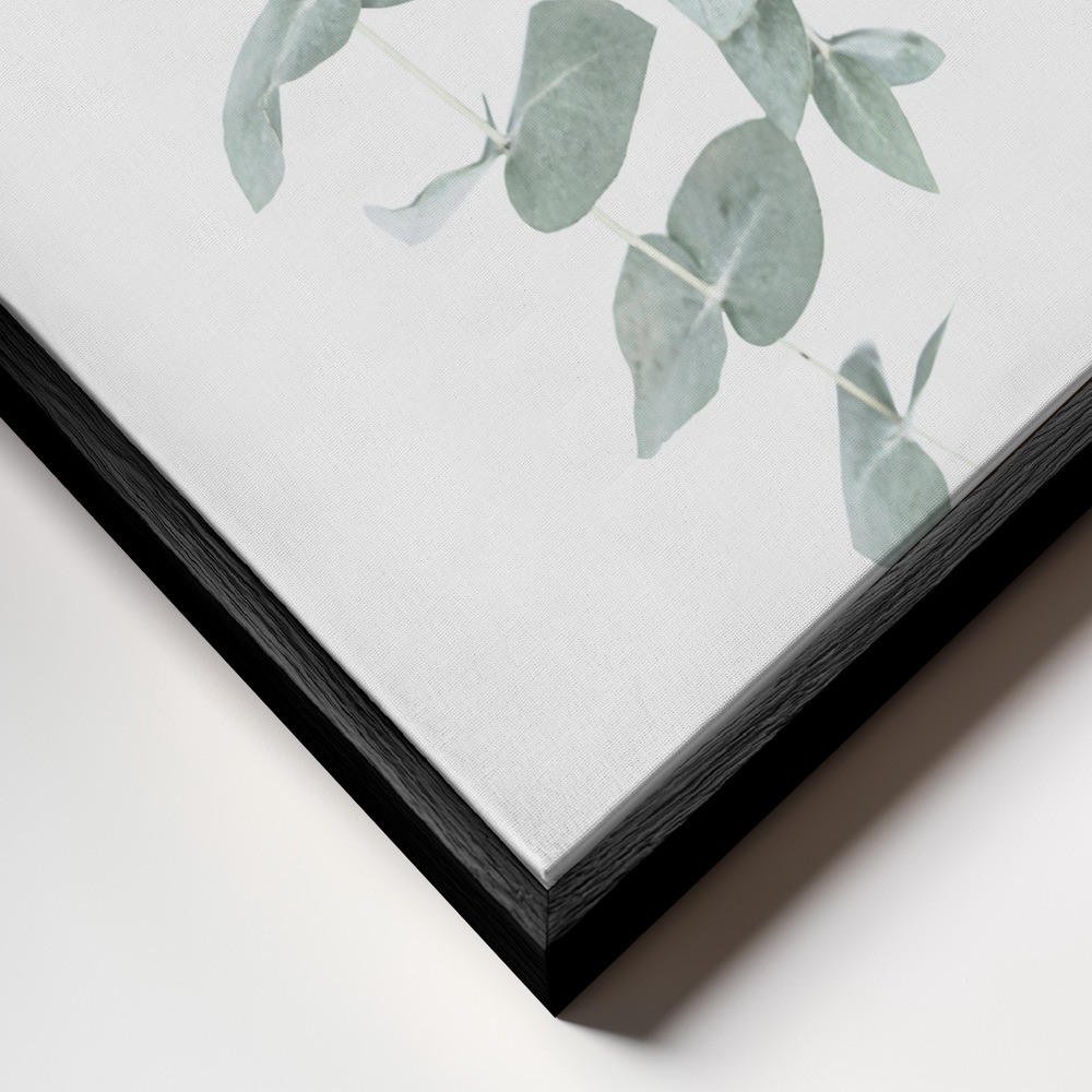 Toile - Eucalyptus I cadre en gros plan - cadre noir
