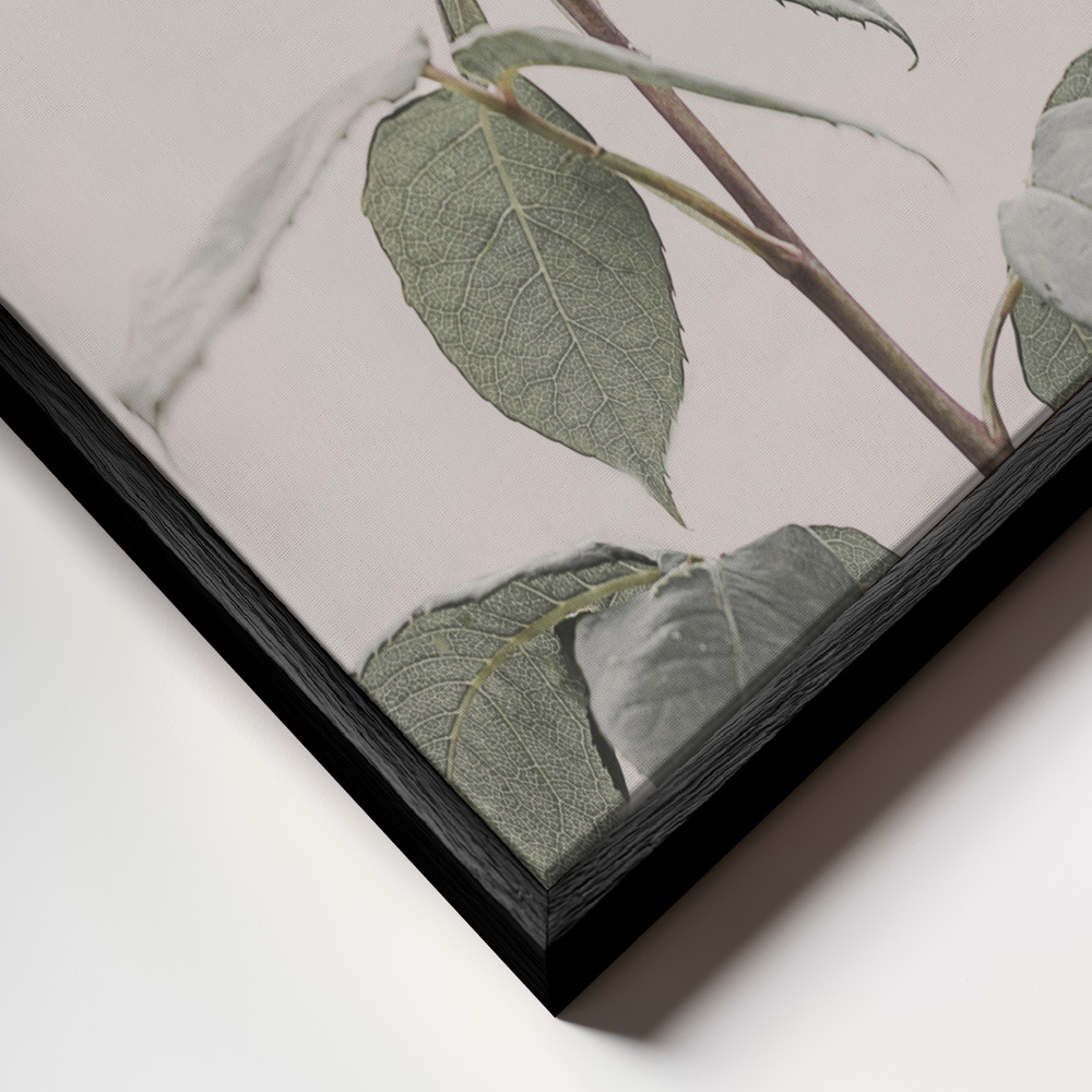 Canvas schilderi - Rose frame close-up - zwart frame