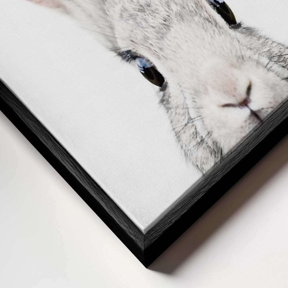Toile - Peeking Bunny cadre en gros plan - cadre noir