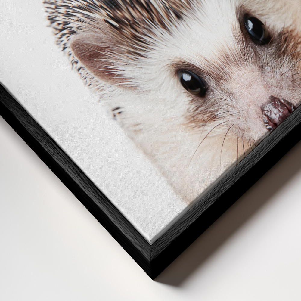 Canvas print - Peeking Hedgehog frame close up - black frame
