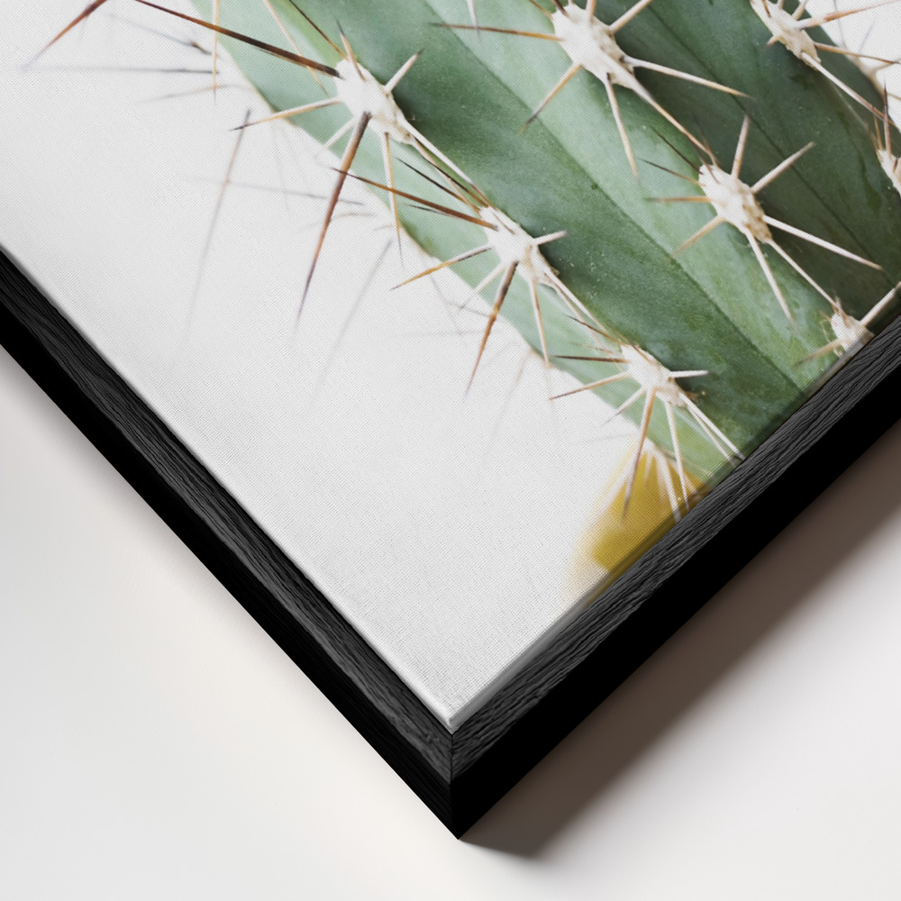Canvas schilderi - Spikey Cactus frame close-up - zwart frame
