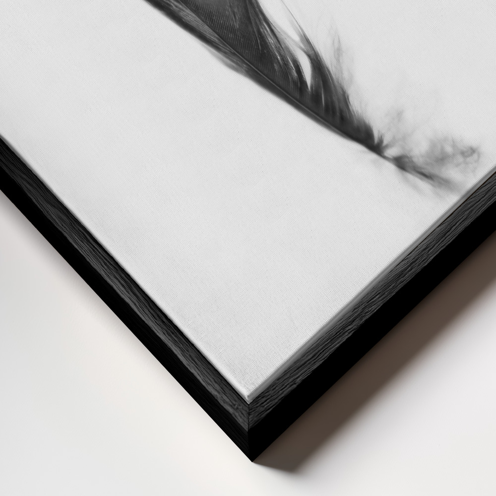 Toile - Feather cadre en gros plan - cadre noir