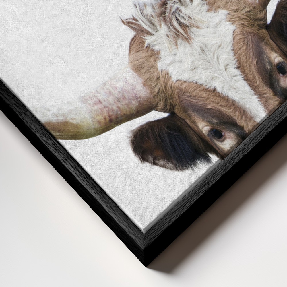 Canvas print - Peeking Longhorn Cow frame close up - black frame