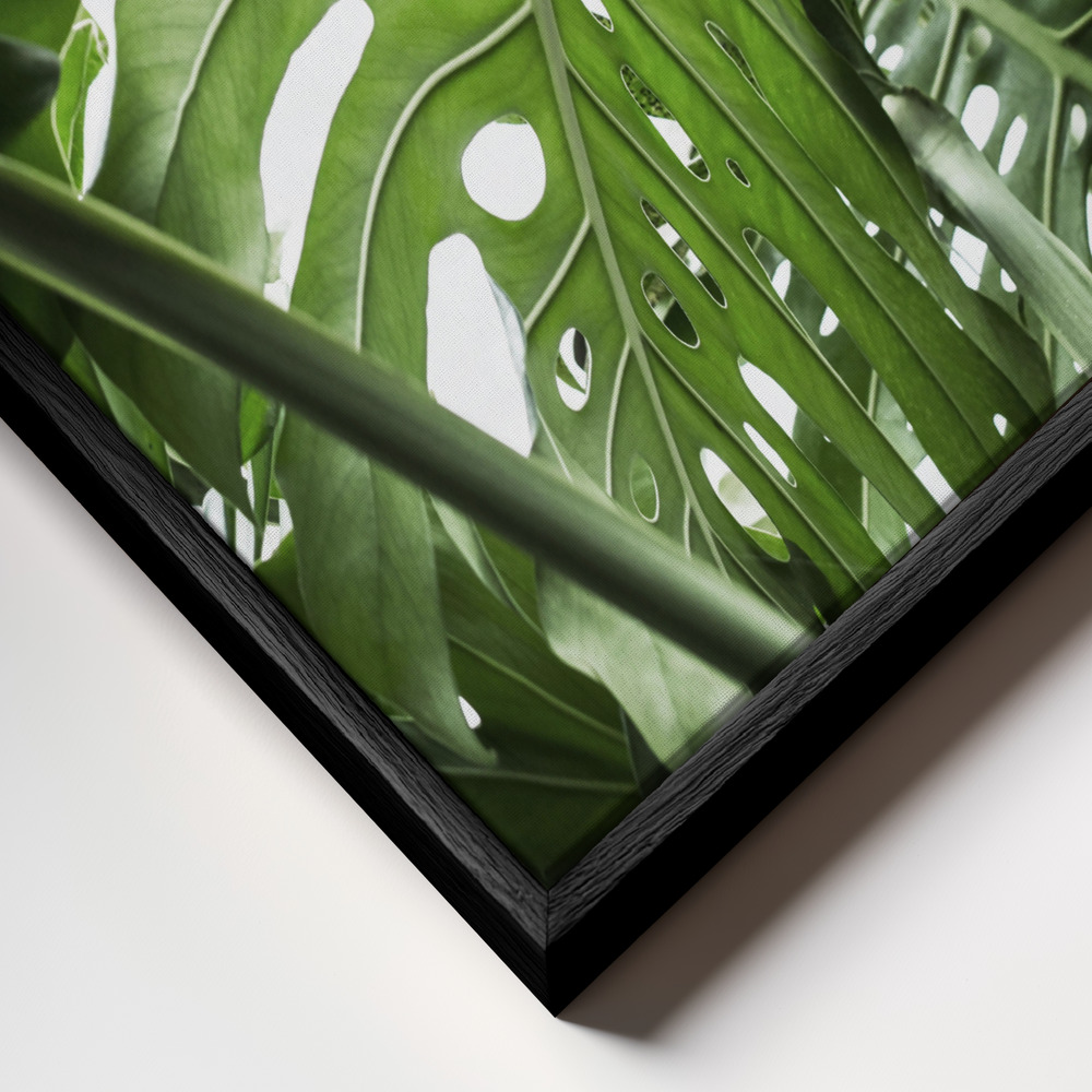 Canvas schilderi - Jungle frame close-up - zwart frame
